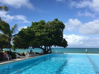 pool in the tropical resort