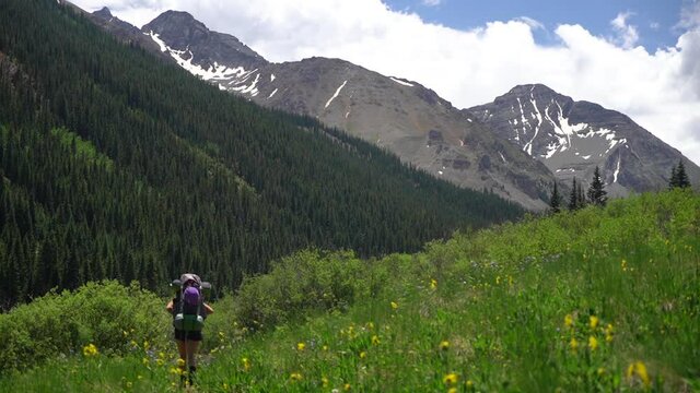 Woman With Backpack Walking on Hiking Trail in Green Meadow Under Peaks of Rocky Mountains, Colorado USA on Sunny Summer Day, Back Wide View, Full Frame