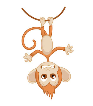 Cute funny monkey colorful cartoon illustration.  little chimpanzee. Wildlife character