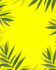 Fototapeta na wymiar Tropical palm leaves with shadows on sunny yellow background with place for text. Summer botanical background with frame of exotic leaves suitable for cover, card, postcard, graphic design