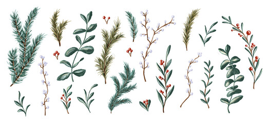 Collection of hand-painted clip art winter elements isolated on white backgrounds. Fir tree branches, twigs with white berries, leaves, red berries, eucalyptus. Elements for winter celebrations cards