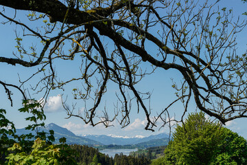 Blick auf Allgäuer See mir Bergpanorama