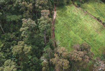 top view of Thailand.