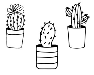 Houseplant in the pot in doodle style. Hand drawn potted plant for home. Hand drawn simple black outline vector illustration in cartoon doodle style, isolated. Home gardening