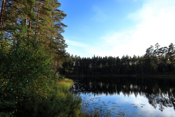 Tiveden National Park. Beautiful view over a small Swedish lake. Clear fresh nature, untouched. Sweden, Scandinavia, Europe.