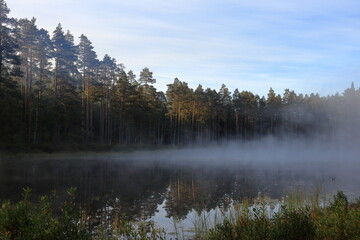 Naklejka na ściany i meble Misty lake at Tiveden National Park. Beautiful view, looks magic. Great nature during the month of September. Sweden, Scandinavia, Europe.
