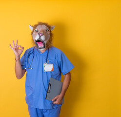 Doctor in front with lion mask, folder and stethoscope making ok sign on yellow background.