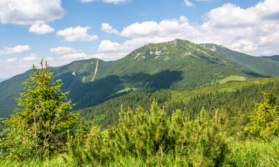 Carpathian mountains range, Calimani Romania Transylvania. Pines and cliffs.