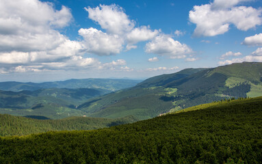 Carpathian mountains range, Calimani Romania Transylvania. Pines and cliffs.