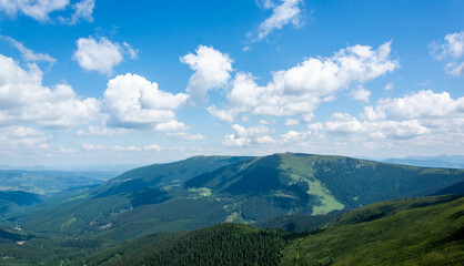 Naklejka premium Carpathian mountains range, Calimani Romania Transylvania. Pines and cliffs.