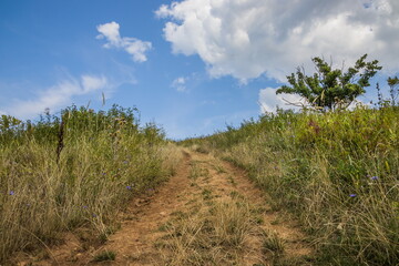 Dawn in the mountains. Path in the mountains at dawn.The sun ris