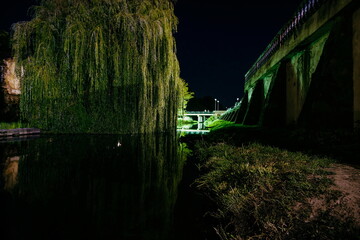 Beautiful night embankment near the river with green lights on a
