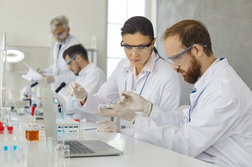 Team of focused scientists who work together to analyze samples while working in a modern research laboratory. Male and female scientists work with chemicals and study microorganisms.