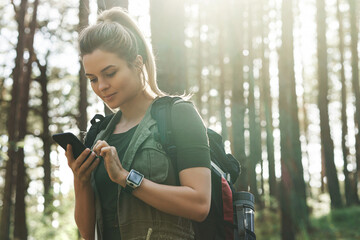 Female hiker is using smartphone for navigation in green forest