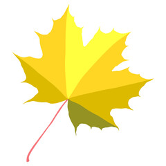 Naklejka na ściany i meble Gold autumn maple leaf isolated on white background. Cartoon flat style vector illustration.