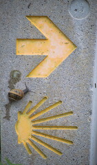 A snail following a yellow arrow indication in the road to Santiago de Compostela as a symbol of...