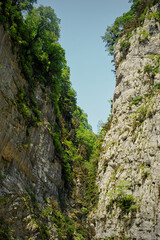 Fototapeta na wymiar Gorge of mountains with trees growing on them. The mountains of Abkhazia are the countries of the soul.