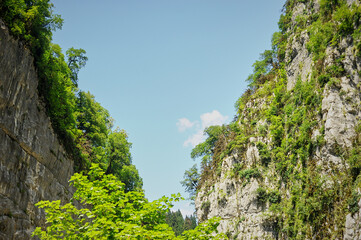 Gorge of mountains with trees growing on them. The mountains of Abkhazia are the countries of the soul.