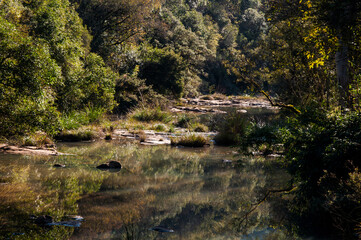 Fototapeta na wymiar river in the woods in Caxias do Sul , Rio Grande do Sul