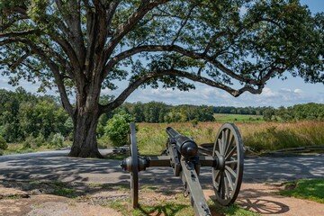 Fototapeta na wymiar Witness Tree and Cannon, DevilsDen, Gettysburg National Military Park, Pennsylvania, USA