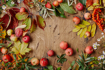Red rowan berries, small apples, sea buckthorn, wild grape branches, maple leaves and autumn white...