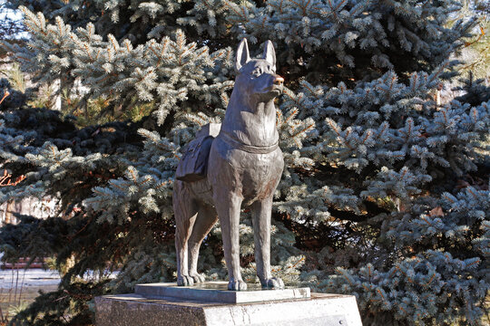 Volgograd, Russia - December 28, 2020: Monument to demolition dogs (sculptor Nikolai Karpov), installed in the park on the Chekist Square in Volgograd