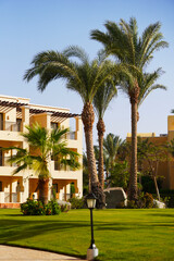 Holiday resort. Luxury Egyptian hotel with palm trees and clear blue sky.