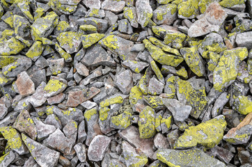 Yellow lichen texture on grey natural sharp irregular stones of various types background
