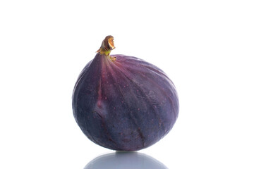 One organic sweet figs, close-up, isolated on white.