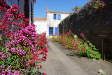 Au détour d'une ruelle