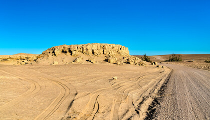 Whale fossils in the Ocucaje desert, Peru