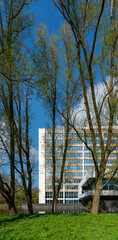 Trees and paths in Rembrandtpark in Amsterdam, a large park in the west of the city.