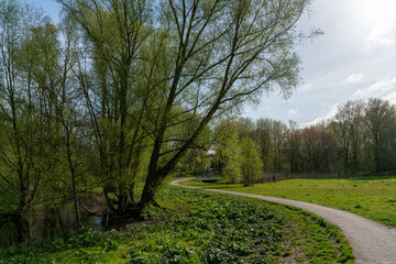 Trees and paths in Rembrandtpark in Amsterdam, a large park in the west of the city.