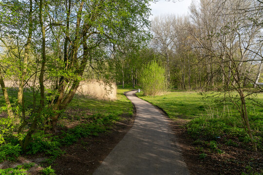 Trees and paths in Rembrandtpark in Amsterdam, a large park in the west of the city.