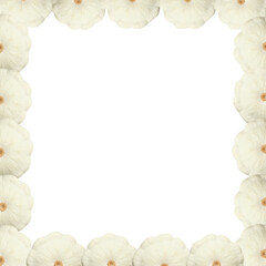 Frame made of fresh ripe pattypan squashes on white background, top view
