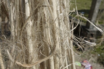 Jute fiber is being dried in the sun by the side of the road in the traditional way. Jute is being dried in the sun on both sides of the road.