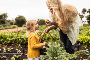 Mom showing her daughter a fresh onion in an agricultural field