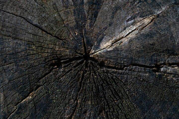 Old wood. Cracked from time sawn wood. The texture of sawn logs.