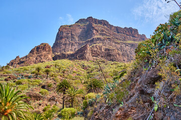 Fototapeta na wymiar Masca the village the gorge in Teno Mountains on Tenerife the Canary Island Spain