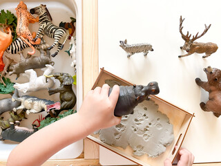A child plays with animal figures. Montessori materials. Distance learning. Preschool development. Children's leisure. The concept of studying wildlife.