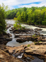 Mountain river in the forest