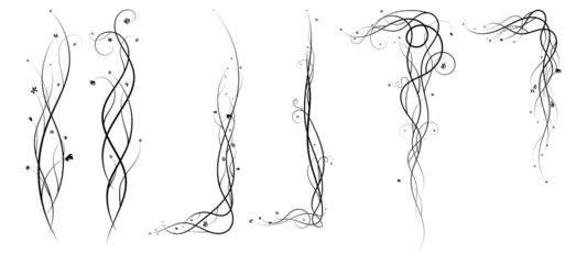 pattern design grapes elements for decoration new © antondzyna