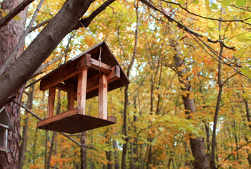 house in the forest