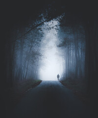 Persona solitaria paseando en la niebla

