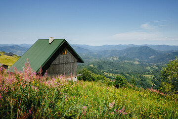 Old wooden house on the Carpathian green hill. Day view of mountains and grass meadow. Mountain farm with fence.
