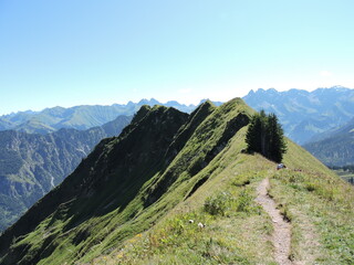 Gratweg am Fellhorn, Alpen