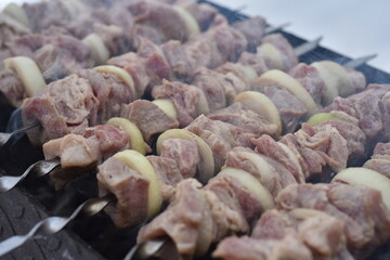 barbecue cooked on coals. kebab on a skewer. outdoor cooking on a hike.