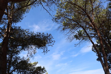 Massawa, Eritrea-September 02, 2021: Amazing landscape from the Eritrean Red Sea on the way from Massawa to Asmara. Arid weather and some green areas.