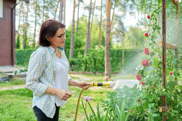 Middle-aged woman in the backyard watering rose bushes from the garden hose