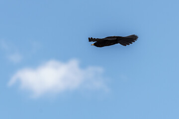 Hiking on tre cime di lavaredo